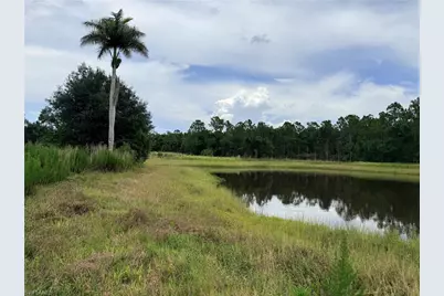 925 Purple Martin Dr, Naples, FL 34120 - Photo 19