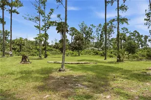 3021 14th Ave SE, Naples, FL 34117 - Photo 35