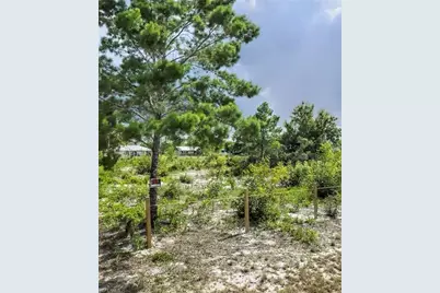 126 Loquat Rd NW, Lake Placid, FL 33852 - Photo 3