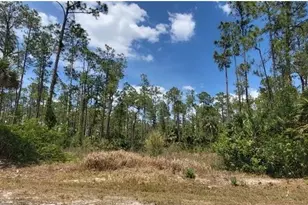 4045 12th Ave SE, Naples, FL 34117 - Photo 1