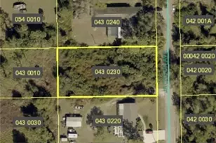 321 Jackson Ave, Lehigh Acres, FL 33936 - Photo 1