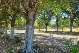 527 Perimeter, Clewiston, FL 33440 - Photo 31