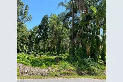 335 Porter St, Naples, FL 34113 - Photo 7