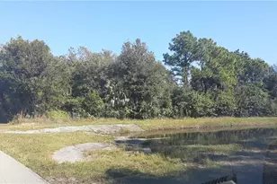 3859 Heyburn St, Fort Myers, FL 33905 - Photo 1