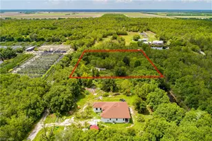 11444 Laertes Ln, Naples, FL 34114 - Photo 13