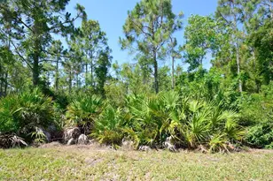 20111 Bravada St, Estero, FL 33928 - Photo 9