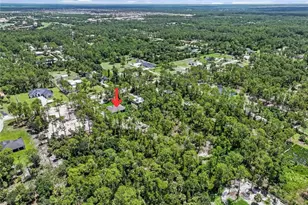 1412 22nd Ave NE, Naples, FL 34120 - Photo 41