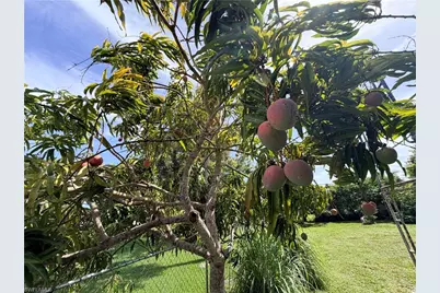 125 4th St, Naples, FL 34113 - Photo 13