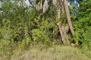 2171 Adirondack Ln, Port Charlotte, FL 33953 - Photo 1