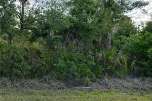 14169 Luxo Ave, Port Charlotte, FL 33953 - Photo 1