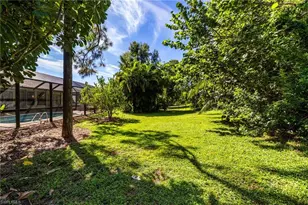 19112 Pine Run Ln, Fort Myers, FL 33967 - Photo 39