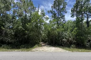 930 24th Ave NE, Naples, FL 34120 - Photo 3