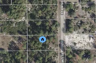 1713 Plumosa Ave, Lehigh Acres, FL 33972 - Photo 1