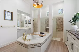 28646 Via D Arezzo Dr, Bonita Springs, FL 34135 - Photo 31