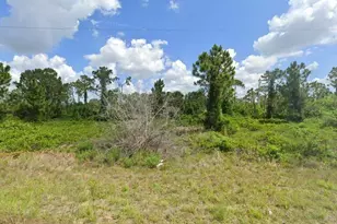 1023 Hatfield St, Lehigh Acres, FL 33974 - Photo 1