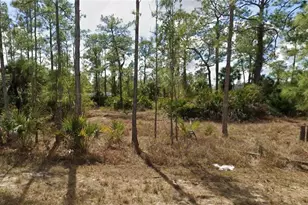 311 Spokane Ave, Lehigh Acres, FL 33972 - Photo 1