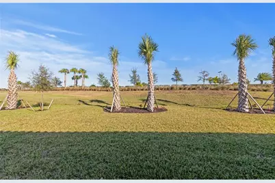 6419 Memorial Ln, Ave Maria, FL 34142 - Photo 29