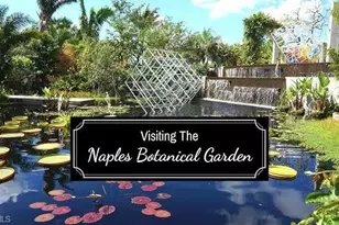 4430 Botanical Pl Cir, Naples, FL 34112 - Photo 21