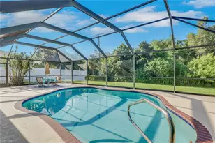 12213 De Moya Dr, Fort Myers, FL 33905 - Photo 23