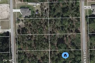 1003 Greenwood Ave, Lehigh Acres, FL 33972 - Photo 1