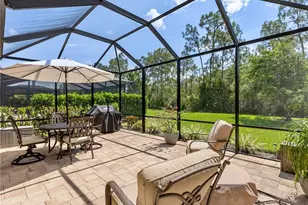 13097 Cardeto Ct, Estero, FL 33928 - Photo 33
