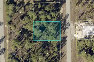 242 McArthur Blvd, Lehigh Acres, FL 33974 - Photo 1