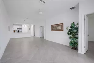 2175 Dragonfruit Wy, Naples, FL 34120 - Photo 41