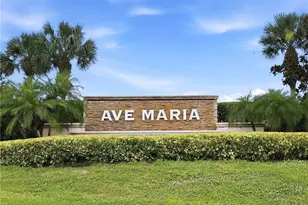 4779 Corrado Ave, Ave Maria, FL 34142 - Photo 7