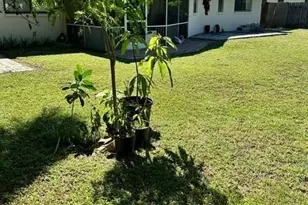 3161 43rd St SW, Naples, FL 34116 - Photo 7