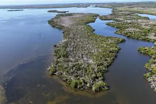 Indian Field Key + Island 1, Bokeelia, FL 33922 - Photo 1