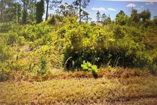 12145 Snow Bird Ave, Port Charlotte, FL 33981 - Photo 1
