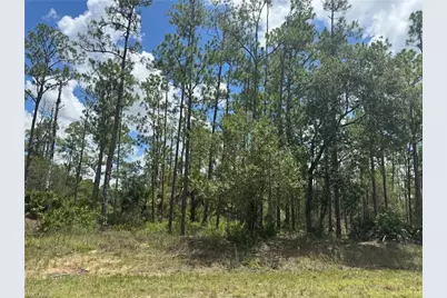 1410 Glenn Ave, Lehigh Acres, FL 33972 - Photo 3