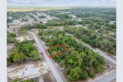 1305 Homosassa Ct, Poinciana, FL 34759 - Photo 1