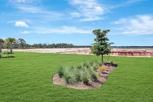 43837 Cattleman Dr, Babcock Ranch, FL 33982 - Photo 29