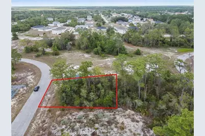 1315 Homosassa Court Ct, Kissimmee, FL 34759 - Photo 1