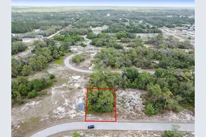 1315 Homosassa Court Ct, Kissimmee, FL 34759 - Photo 3