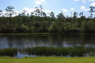 10178 Via Colomba Circle, Fort Myers, FL 33966 - Photo 3