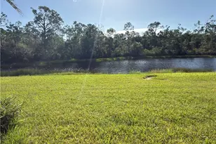 10224 Via Colomba Circle, Fort Myers, FL 33966 - Photo 3