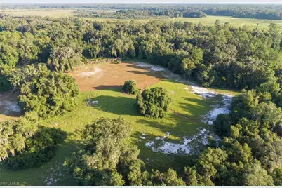 6301 E County Road 316, Citra, FL 32113 - Photo 13