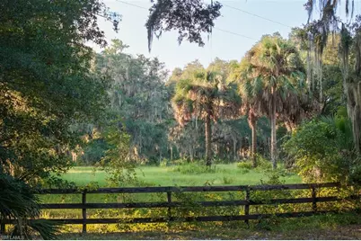 6301 E County Road 316, Citra, FL 32113 - Photo 11