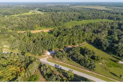 6301 E County Road 316, Citra, FL 32113 - Photo 7