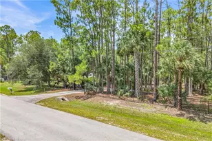 6061 Golden Oaks Ln, Naples, FL 34119 - Photo 43