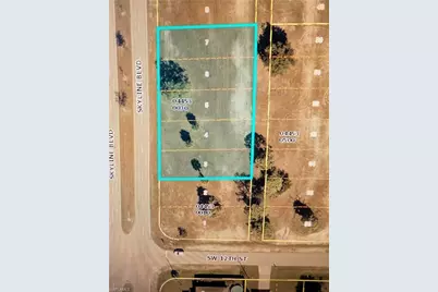 1119 Skyline Blvd, Cape Coral, FL 33991 - Photo 1