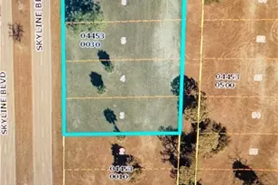 1119 Skyline Blvd, Cape Coral, FL 33991 - Photo 1