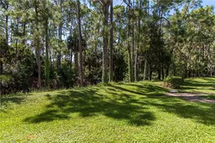25747 Lake Amelia Way, Bonita Springs, FL 34135 - Photo 21
