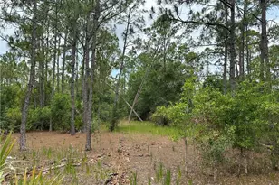 44th St NE, Naples, FL 34120 - Photo 1