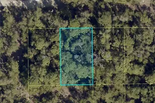 7121 Guava Ave, Bokeelia, FL 33922 - Photo 1