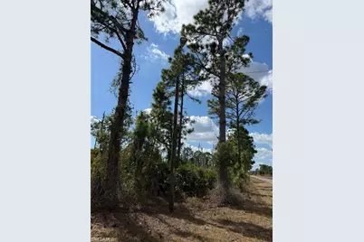 1116 Plantation Rd, Lehigh Acres, FL 33974 - Photo 3