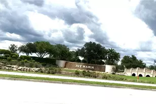 5434 Useppa Dr, Ave Maria, FL 34142 - Photo 31