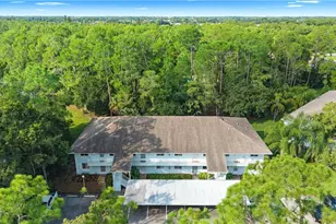3451 County Barn Rd, Naples, FL 34112 - Photo 3